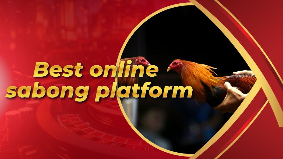 Best online sabong platforms