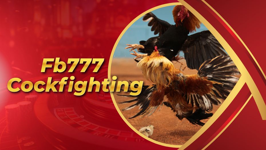 Fb777 Cockfighting
