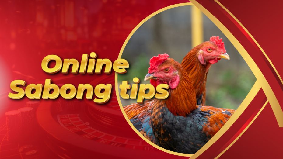 Online Sabong tips