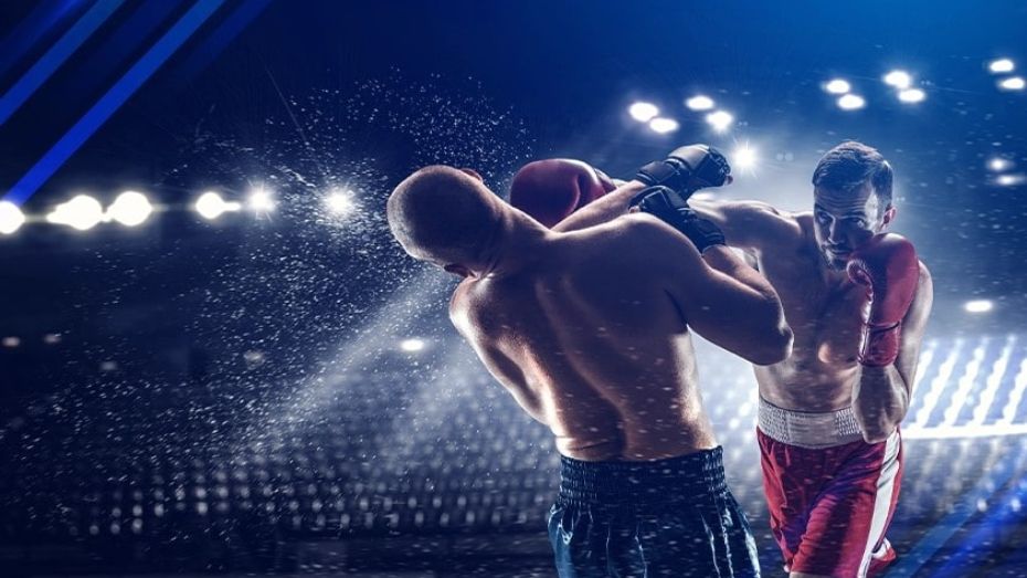 Understanding the Sport of Boxing