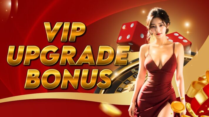 VIP UPGRADE BONUS
